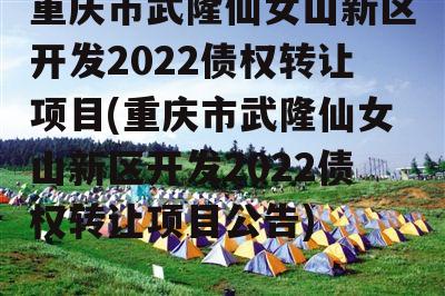 重庆市武隆仙女山新区开发2022债权转让项目(重庆市武隆仙女山新区开发2022债权转让项目公告)