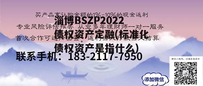 淄博BSZP2022债权资产定融(标准化债权资产是指什么)