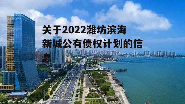 关于2022潍坊滨海新城公有债权计划的信息