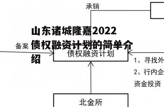 山东诸城隆嘉2022债权融资计划的简单介绍