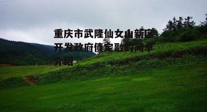 重庆市武隆仙女山新区开发政府债定融的简单介绍