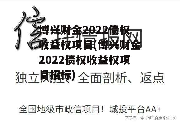 博兴财金2022债权收益权项目(博兴财金2022债权收益权项目招标)