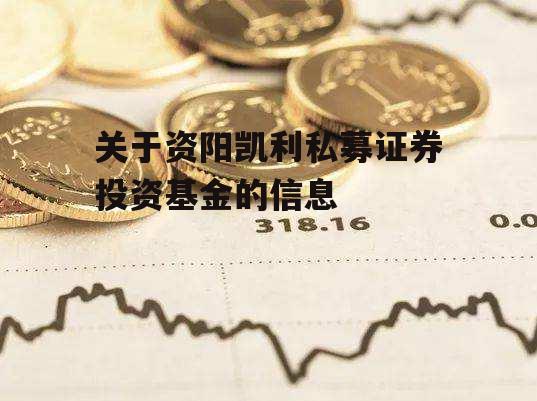 关于资阳凯利私募证券投资基金的信息