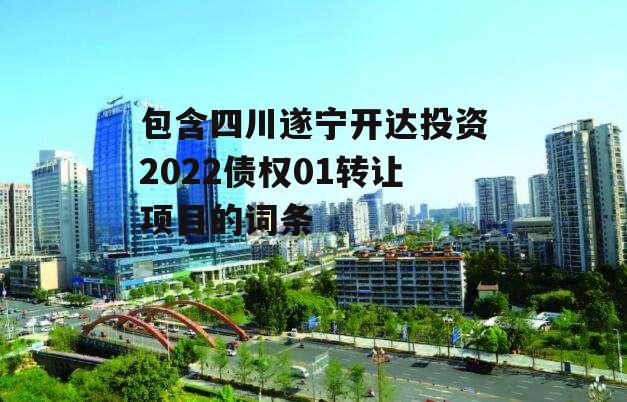 包含四川遂宁开达投资2022债权01转让项目的词条