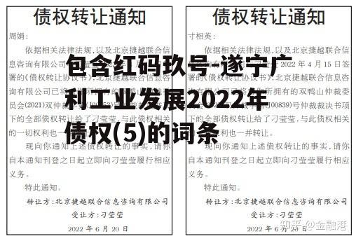 包含红码玖号-遂宁广利工业发展2022年债权(5)的词条