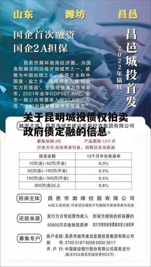 关于昆明城投债权拍卖政府债定融的信息