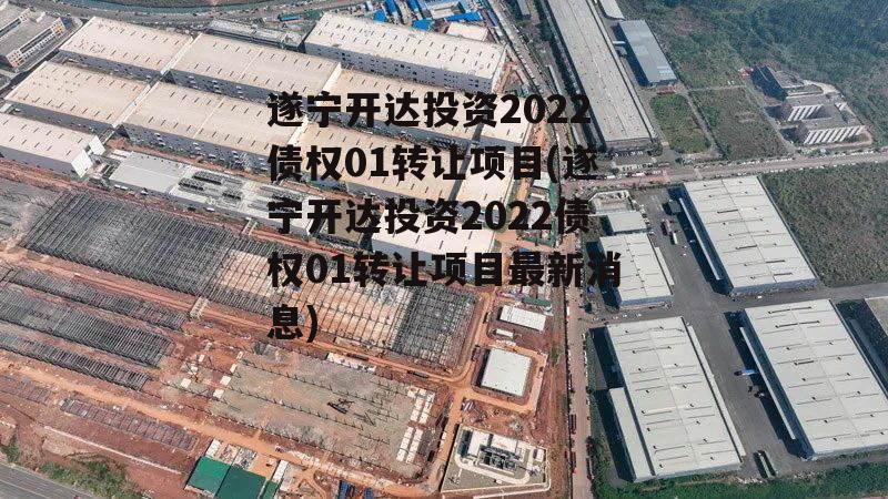 遂宁开达投资2022债权01转让项目(遂宁开达投资2022债权01转让项目最新消息)