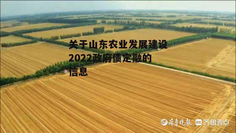 关于山东农业发展建设2022政府债定融的信息