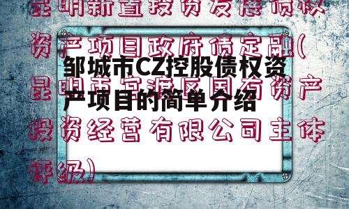 邹城市CZ控股债权资产项目的简单介绍