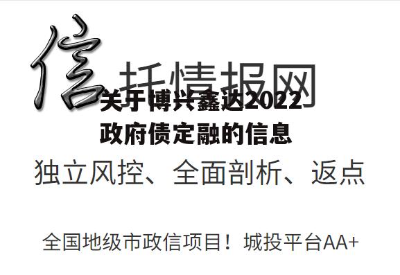 关于博兴鑫达2022政府债定融的信息