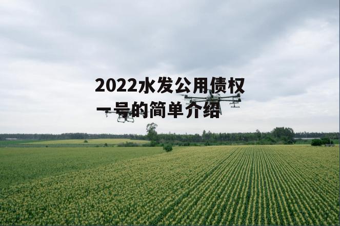 2022水发公用债权一号的简单介绍