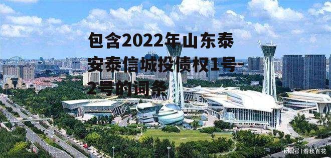 包含2022年山东泰安泰信城投债权1号-2号的词条