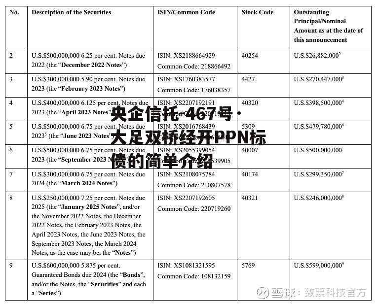 央企信托-467号·大足双桥经开PPN标债的简单介绍