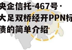 央企信托-467号·大足双桥经开PPN标债的简单介绍