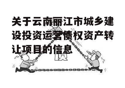 关于云南丽江市城乡建设投资运营债权资产转让项目的信息