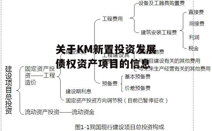 关于KM新置投资发展债权资产项目的信息