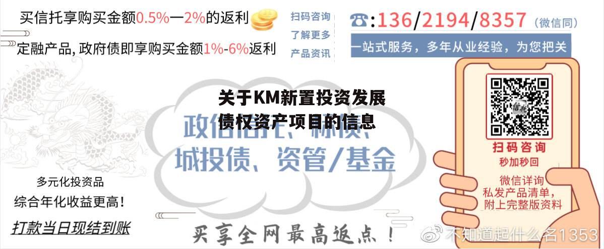 关于KM新置投资发展债权资产项目的信息