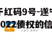 关于红码9号-遂宁广利2022债权的信息