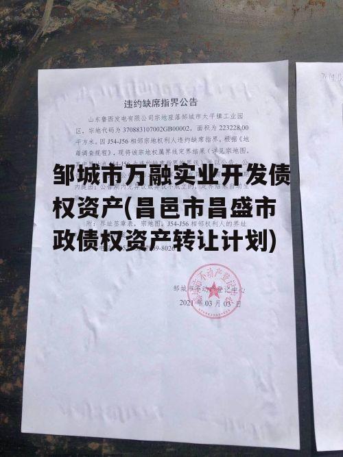 邹城市万融实业开发债权资产(昌邑市昌盛市政债权资产转让计划)