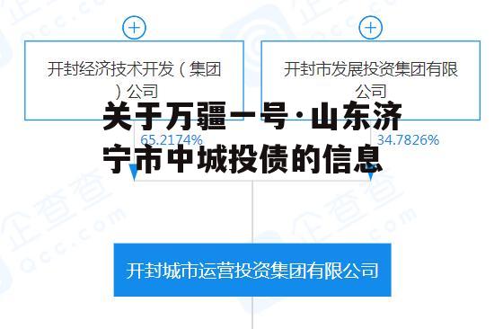 关于万疆一号·山东济宁市中城投债的信息