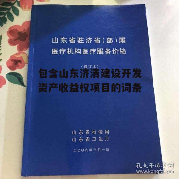 包含山东济清建设开发资产收益权项目的词条