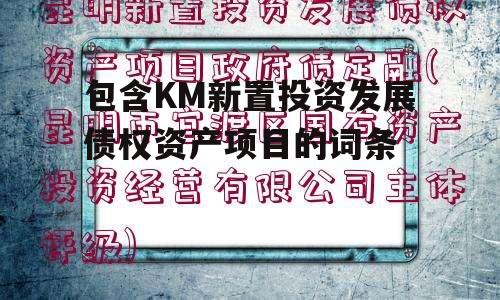 包含KM新置投资发展债权资产项目的词条