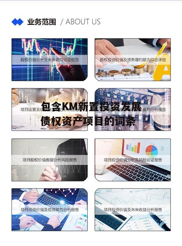 包含KM新置投资发展债权资产项目的词条