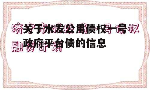 关于水发公用债权一号政府平台债的信息