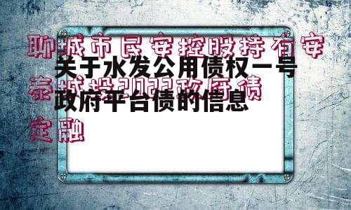 关于水发公用债权一号政府平台债的信息