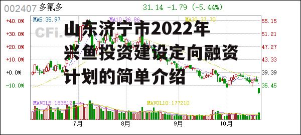 山东济宁市2022年兴鱼投资建设定向融资计划的简单介绍