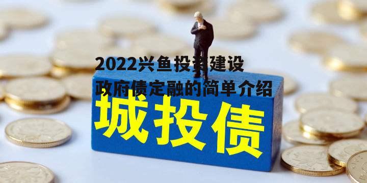 2022兴鱼投资建设政府债定融的简单介绍