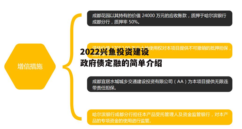 2022兴鱼投资建设政府债定融的简单介绍