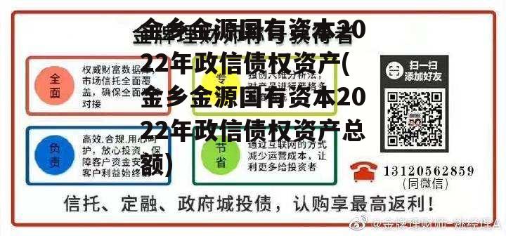 金乡金源国有资本2022年政信债权资产(金乡金源国有资本2022年政信债权资产总额)