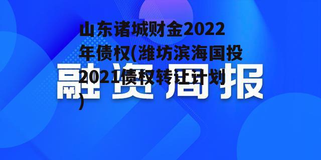 山东诸城财金2022年债权(潍坊滨海国投2021债权转让计划)