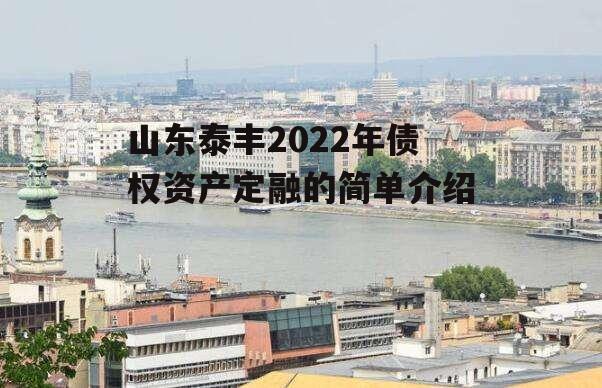 山东泰丰2022年债权资产定融的简单介绍