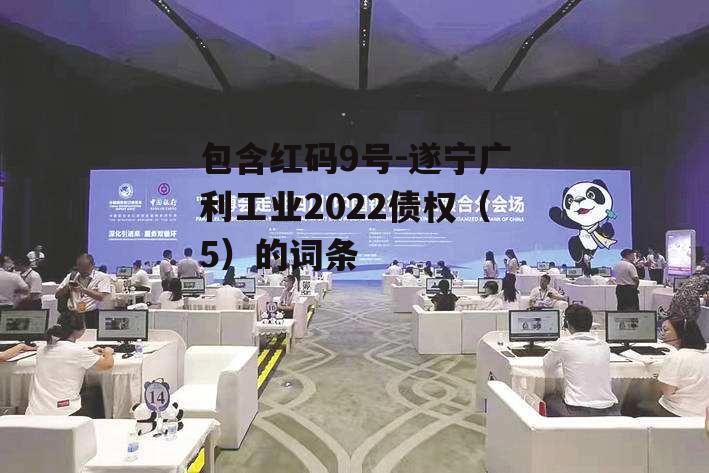 包含红码9号-遂宁广利工业2022债权（5）的词条