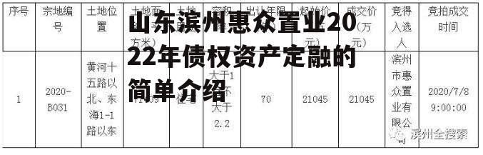 山东滨州惠众置业2022年债权资产定融的简单介绍