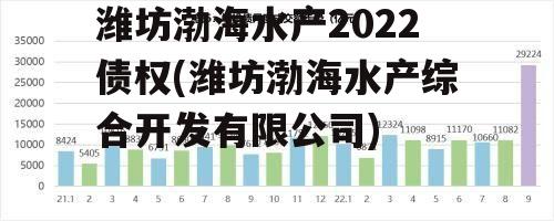 潍坊渤海水产2022债权(潍坊渤海水产综合开发有限公司)