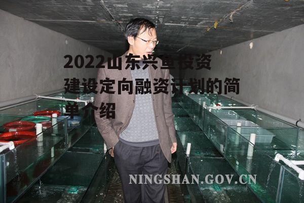 2022山东兴鱼投资建设定向融资计划的简单介绍