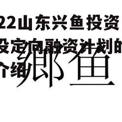 2022山东兴鱼投资建设定向融资计划的简单介绍