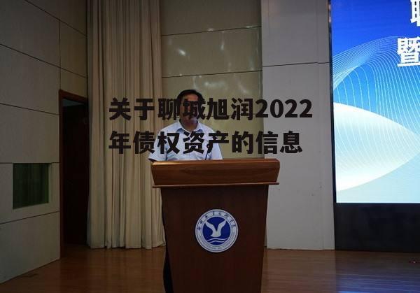 关于聊城旭润2022年债权资产的信息