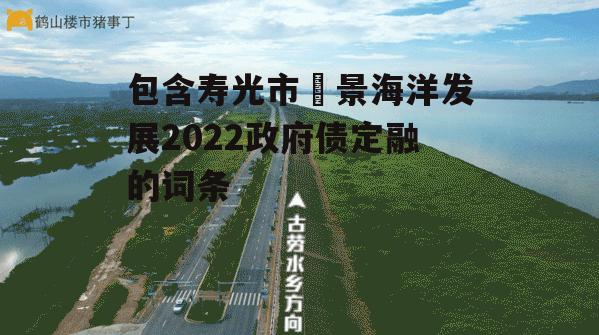 包含寿光市昇景海洋发展2022政府债定融的词条