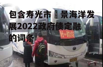 包含寿光市昇景海洋发展2022政府债定融的词条