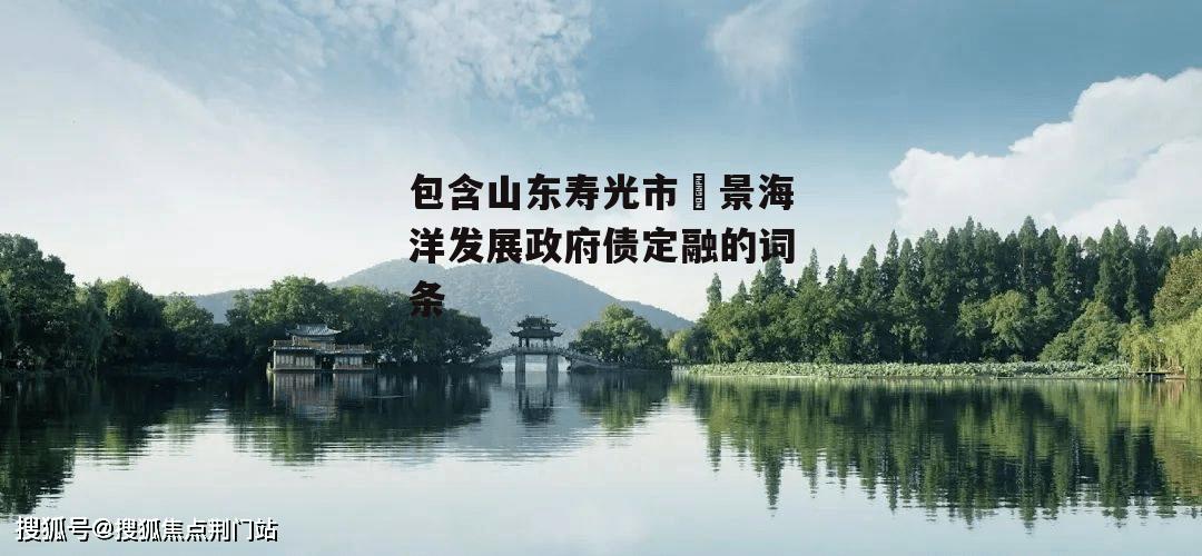 包含山东寿光市昇景海洋发展政府债定融的词条