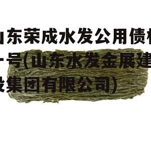 山东荣成水发公用债权一号(山东水发金展建设集团有限公司)