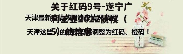 关于红码9号-遂宁广利工业2022债权（5）的信息