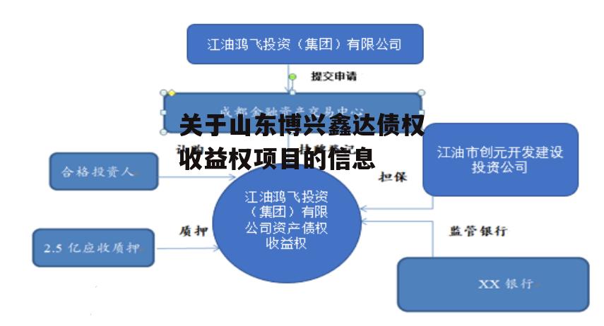 关于山东博兴鑫达债权收益权项目的信息