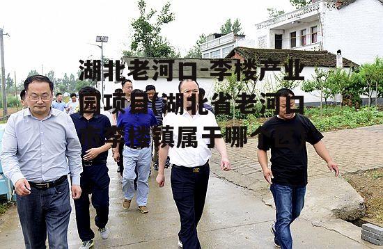 湖北老河口-李楼产业园项目(湖北省老河口市李楼镇属于哪个区)