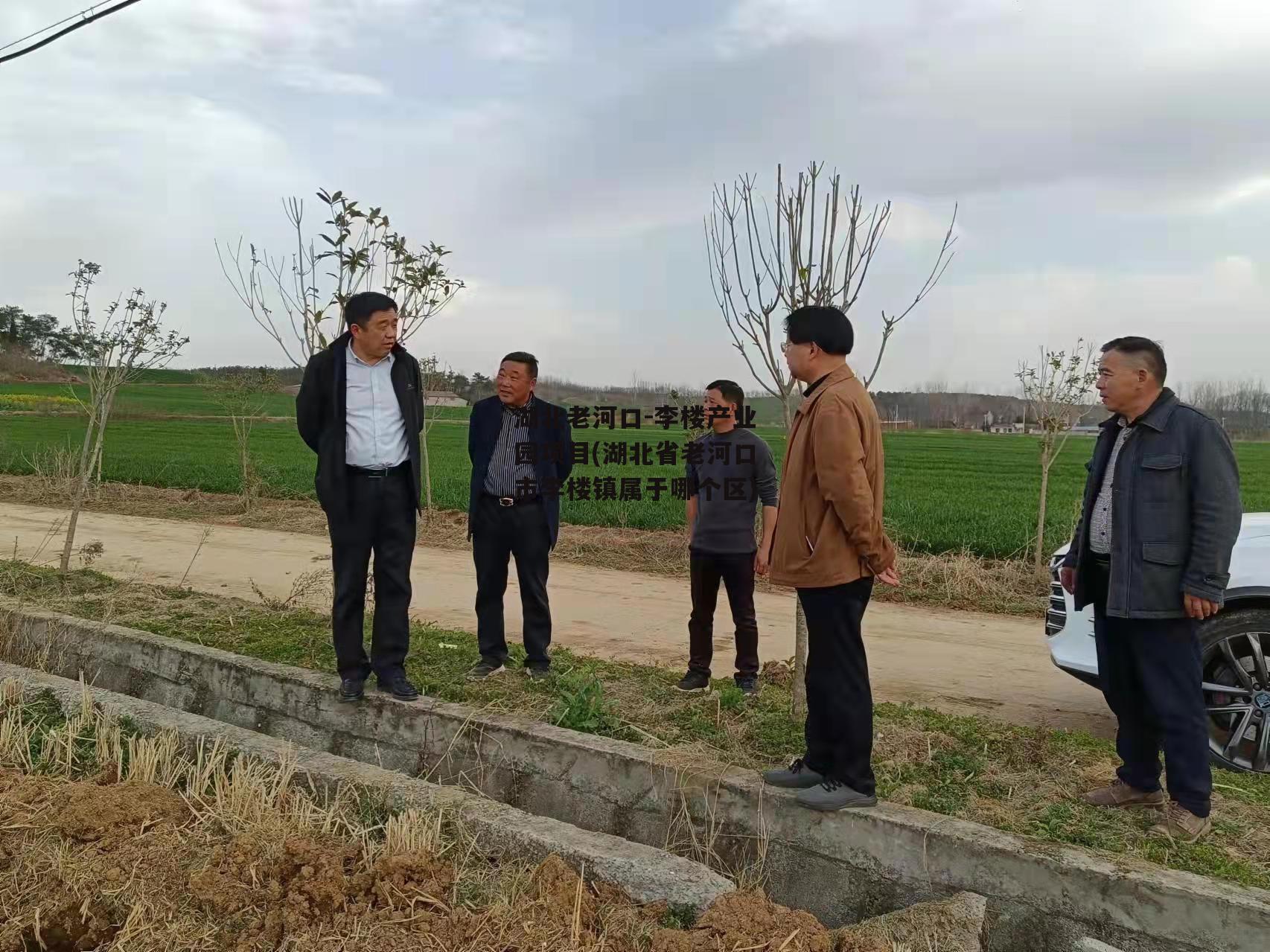 湖北老河口-李楼产业园项目(湖北省老河口市李楼镇属于哪个区)