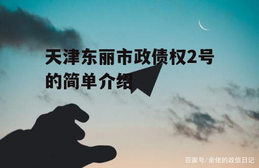 天津东丽市政债权2号的简单介绍